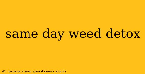 same day weed detox