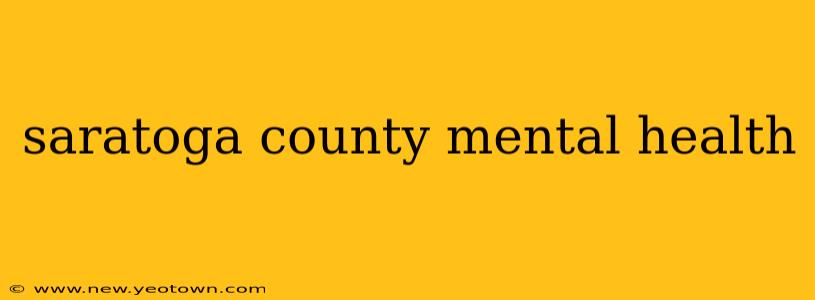 saratoga county mental health