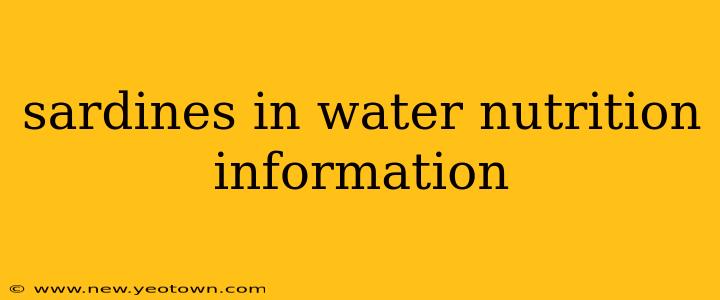 sardines in water nutrition information