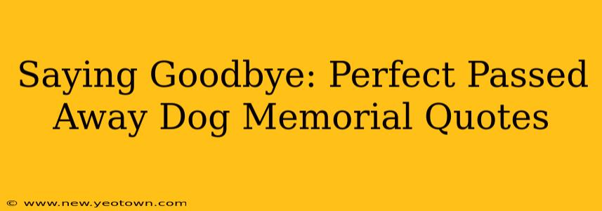 Saying Goodbye: Perfect Passed Away Dog Memorial Quotes