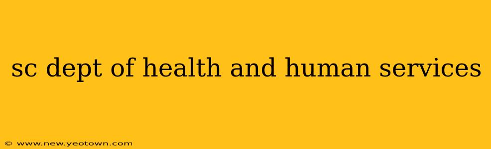 sc dept of health and human services