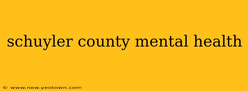 schuyler county mental health