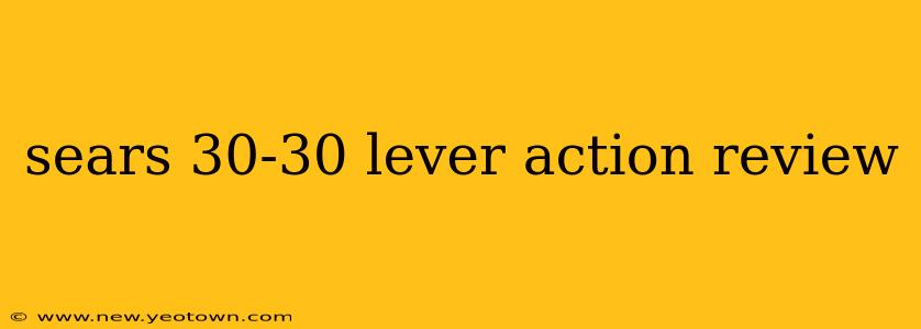 sears 30-30 lever action review