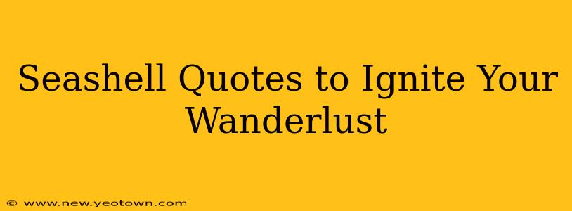 Seashell Quotes to Ignite Your Wanderlust
