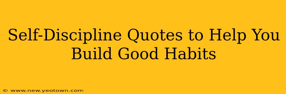 Self-Discipline Quotes to Help You Build Good Habits