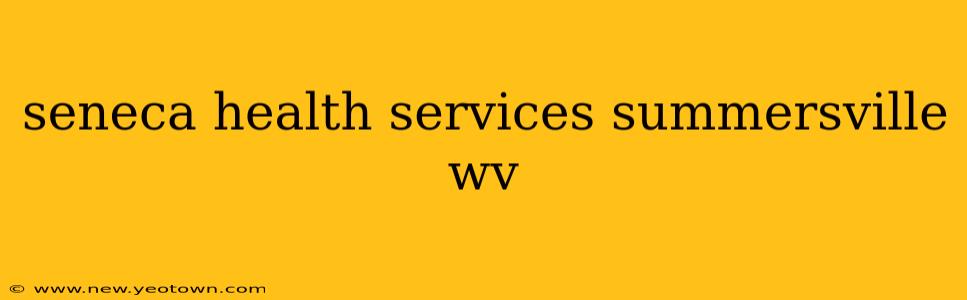 seneca health services summersville wv