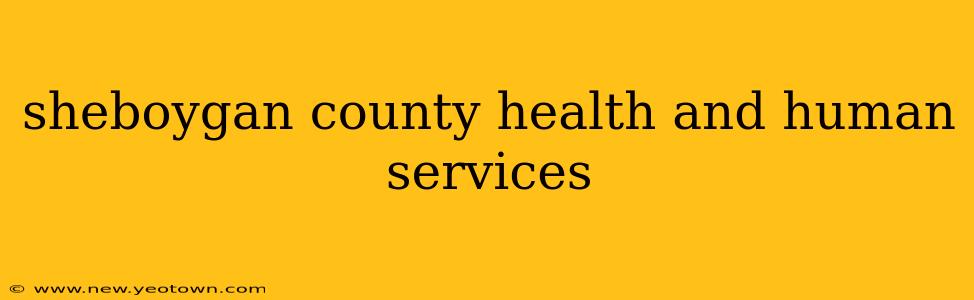 sheboygan county health and human services