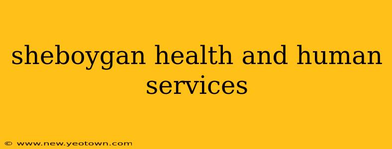 sheboygan health and human services