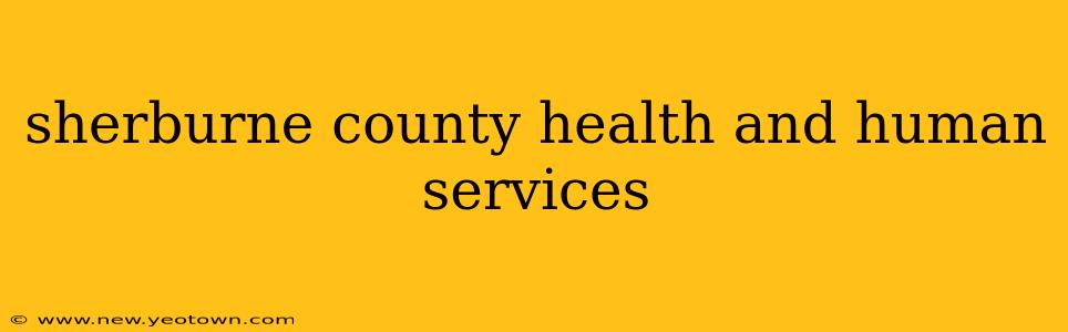 sherburne county health and human services