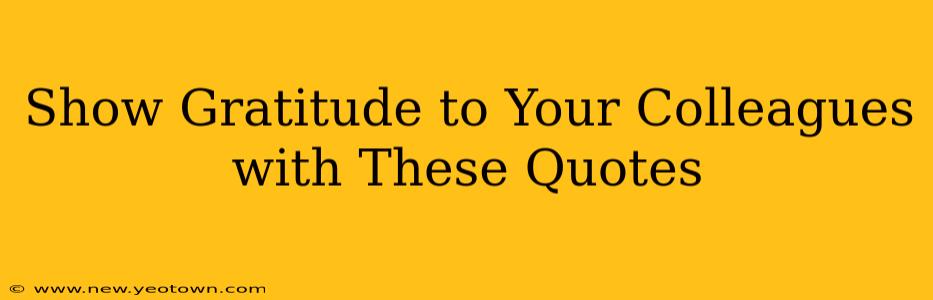 Show Gratitude to Your Colleagues with These Quotes