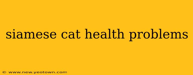 siamese cat health problems