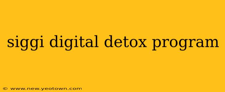 siggi digital detox program