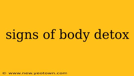 signs of body detox