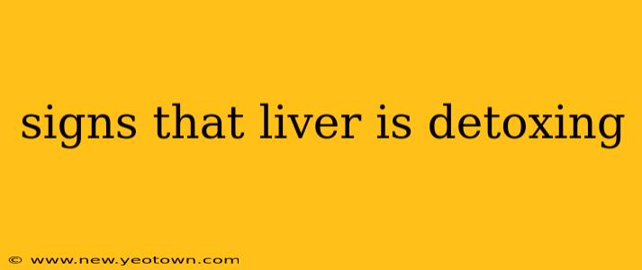 signs that liver is detoxing