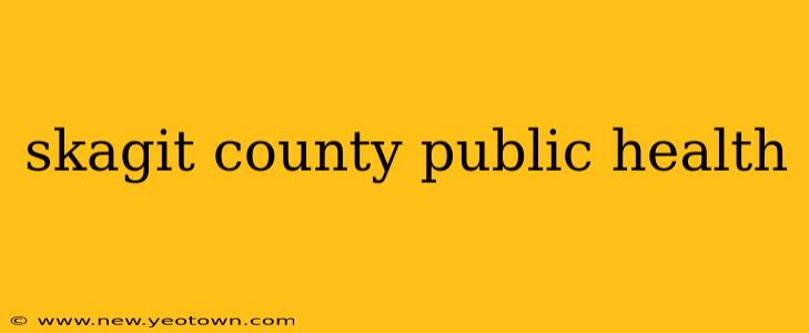 skagit county public health