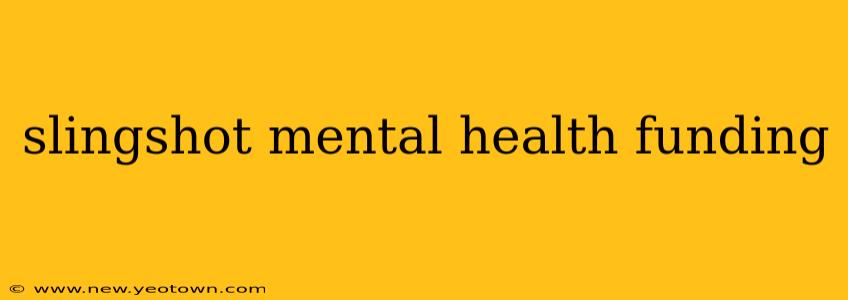 slingshot mental health funding