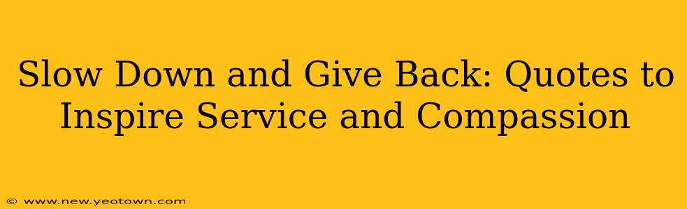 Slow Down and Give Back: Quotes to Inspire Service and Compassion