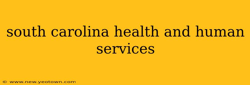 south carolina health and human services