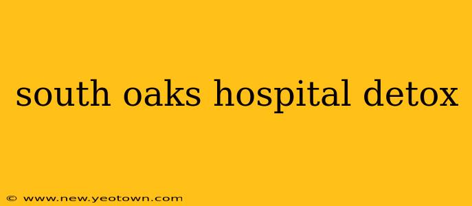 south oaks hospital detox