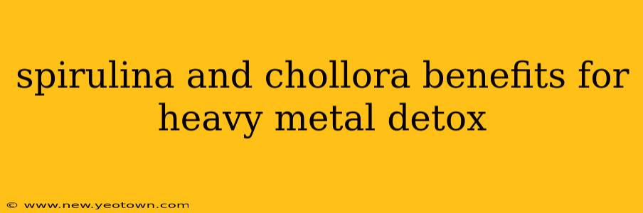 spirulina and chollora benefits for heavy metal detox