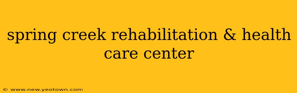 spring creek rehabilitation & health care center