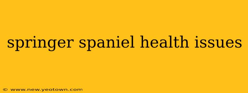 springer spaniel health issues
