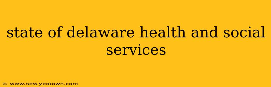 state of delaware health and social services