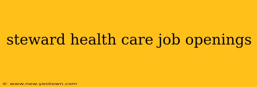steward health care job openings