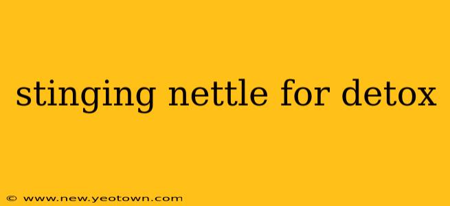 stinging nettle for detox