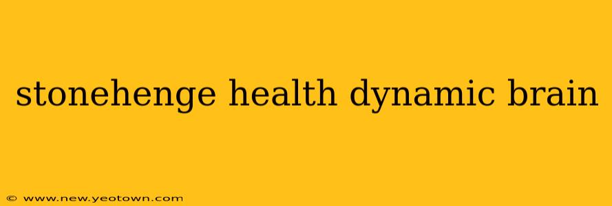 stonehenge health dynamic brain