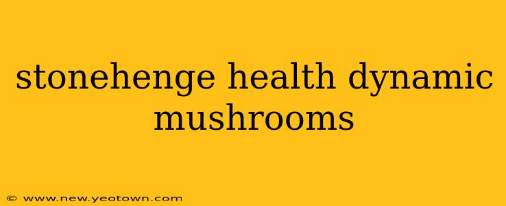 stonehenge health dynamic mushrooms
