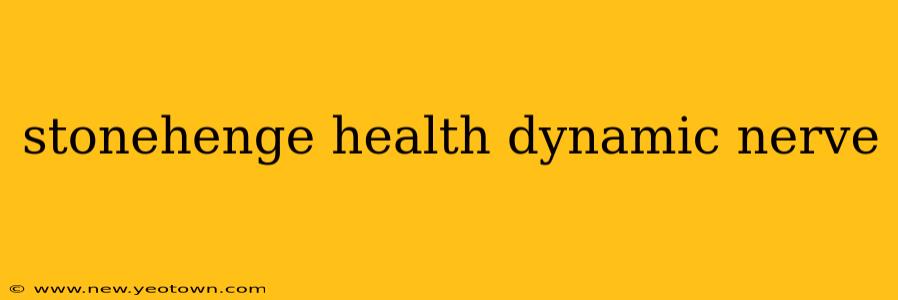 stonehenge health dynamic nerve