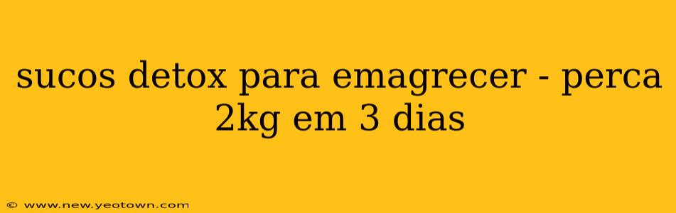 sucos detox para emagrecer - perca 2kg em 3 dias