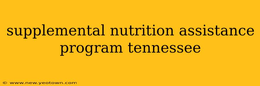 supplemental nutrition assistance program tennessee