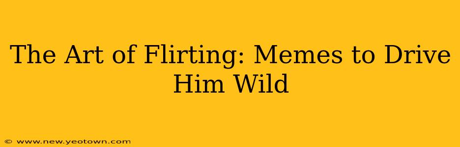 The Art of Flirting: Memes to Drive Him Wild