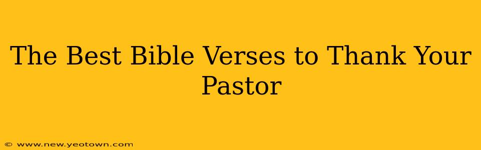 The Best Bible Verses to Thank Your Pastor