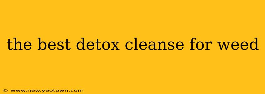 the best detox cleanse for weed