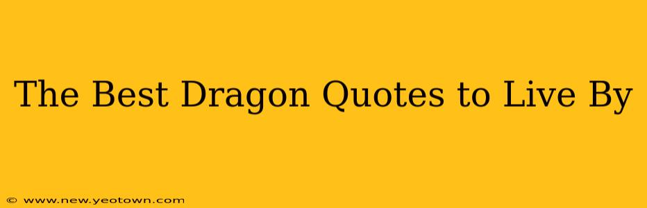 The Best Dragon Quotes to Live By
