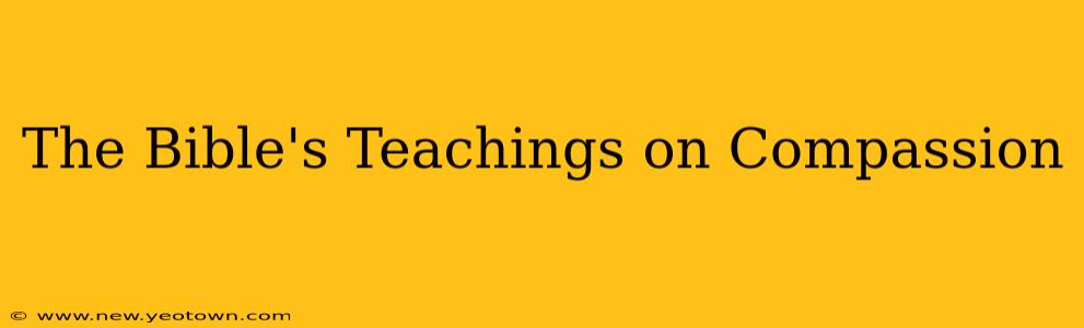 The Bible's Teachings on Compassion