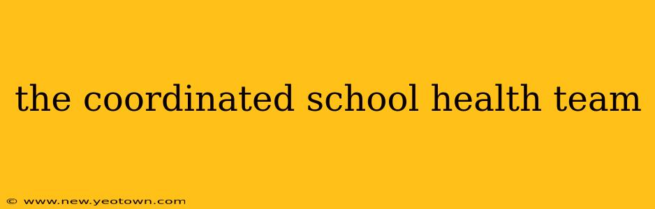the coordinated school health team
