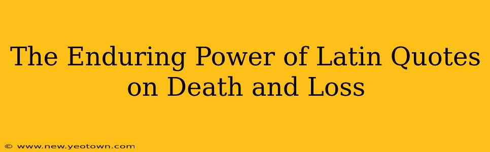 The Enduring Power of Latin Quotes on Death and Loss