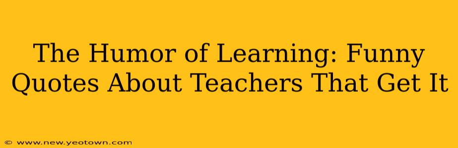 The Humor of Learning: Funny Quotes About Teachers That Get It