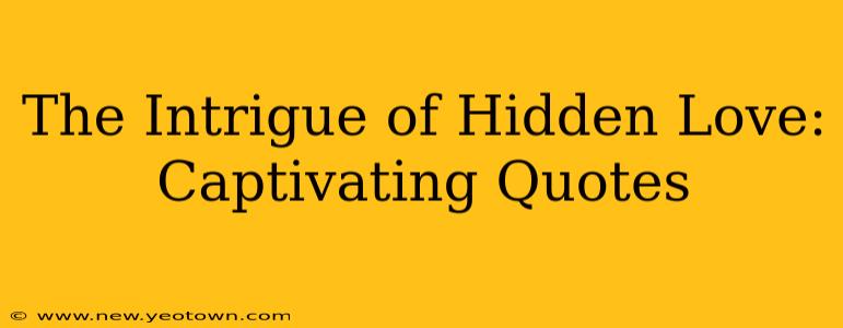 The Intrigue of Hidden Love: Captivating Quotes