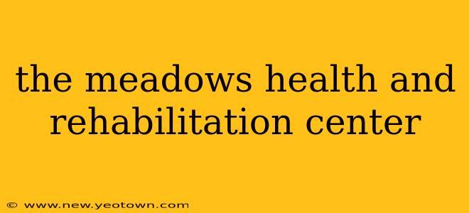 the meadows health and rehabilitation center