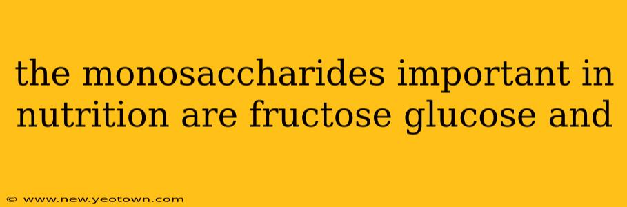 the monosaccharides important in nutrition are fructose glucose and