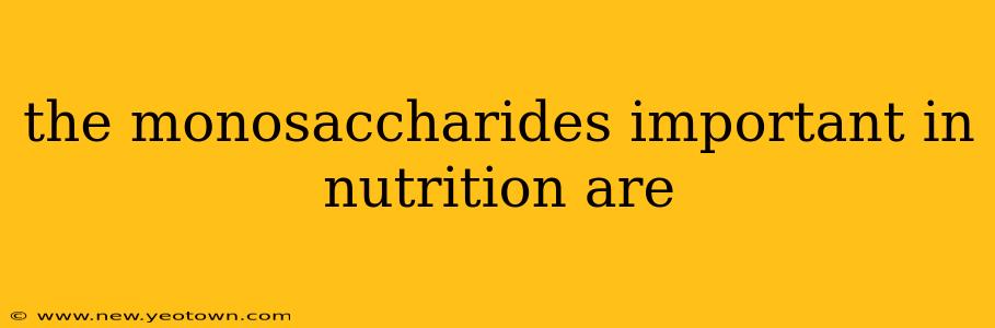 the monosaccharides important in nutrition are