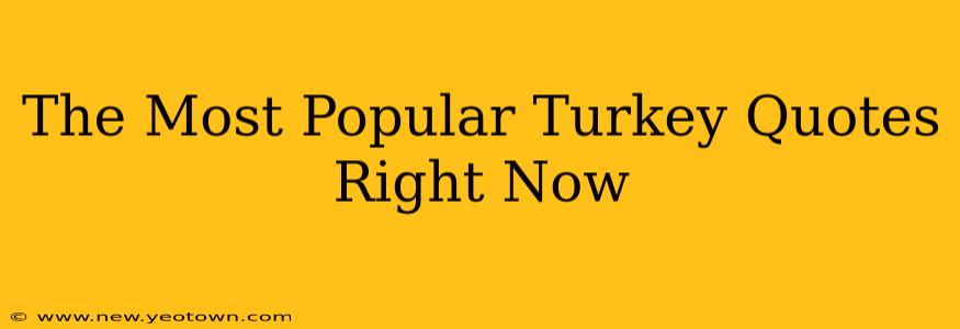 The Most Popular Turkey Quotes Right Now