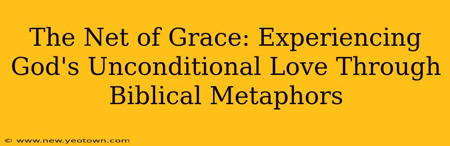 The Net of Grace: Experiencing God's Unconditional Love Through Biblical Metaphors