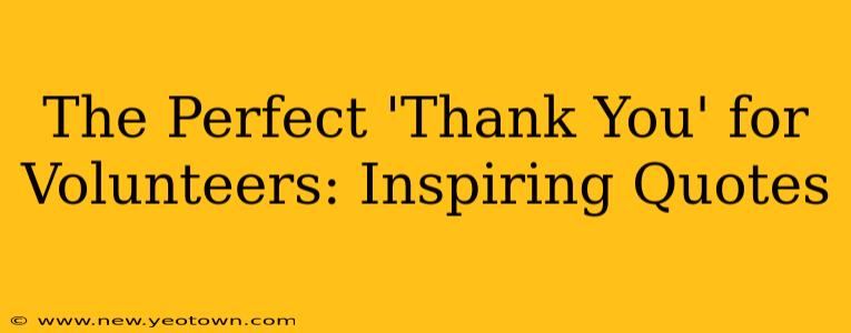 The Perfect 'Thank You' for Volunteers: Inspiring Quotes