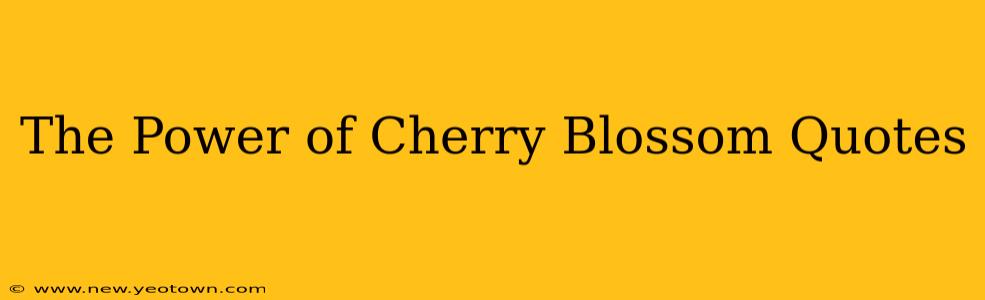 The Power of Cherry Blossom Quotes